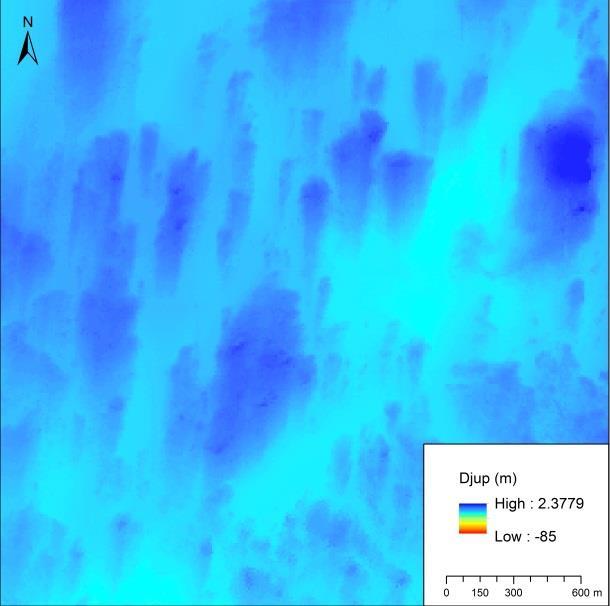 AquaBiota Rapport 2013:03 Figur 3. Vänster kartbild: Djupraster med 10 meters upplösning. Höger kartbild: Djupkurvor skapade med djuprastret i vänster kartbild som underlag.