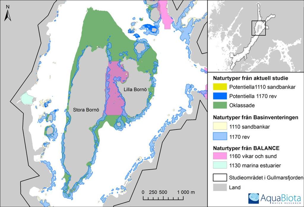 AquaBiota Rapport 2013:03 Kring Lilla och Stora Bornö i Gullmarsfjorden har det tidigare identifierats flertalet olika naturtyper, medan området i denna studie pekas ut som en enskild upphöjning som