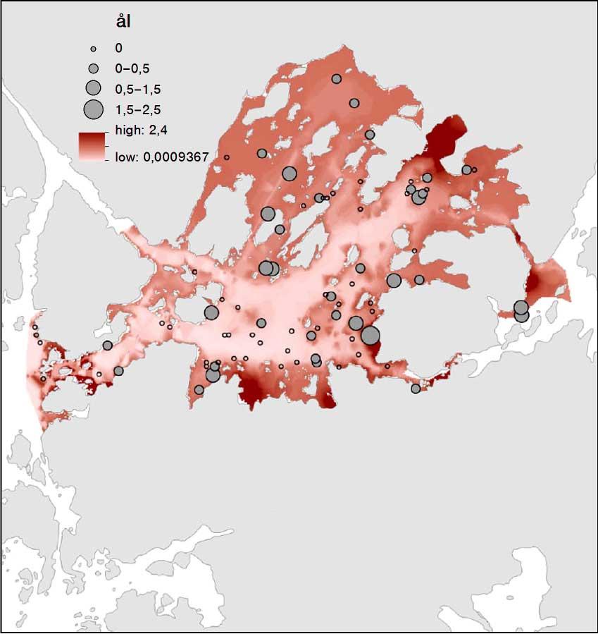 Aqua reports 213:12 3.5.3 Gulål Djup och småbåtshamnar var de miljövariabler som hade en signifikant påverkan på modellen för gulål.