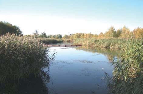 Stora ån har fiskevärden längre nedströms i form av laxöring. Naturmiljön som finns kring Söder- Västerleden är enstaka områden med små lokala värden.