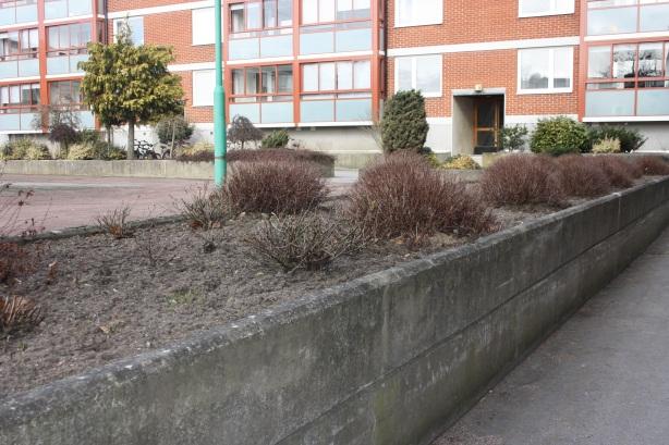 Blomning och exotiska växter Den besökta bostadsgården har idag dåligt med blommande växtmaterial, något som är väldigt efterfrågat bland boende.