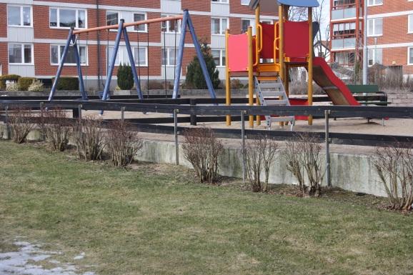 till att man får en utökad blomning samtidigt som arten får lov att återgå till sitt naturliga växtsätt.