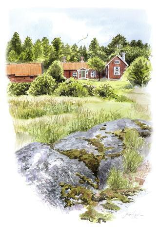 Allt detta kan du uppleva bland de 42 Natura 2000-områdena som ingår i LIFE+ projektet MIA, och som presenteras på följande sidor.