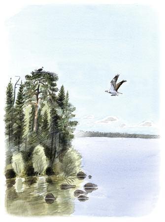 Med sin närhet till Mälaren och den vackra landskapsbilden är området värdefullt för friluftslivet.