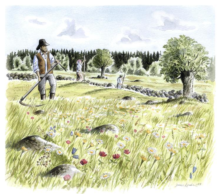 Ett landskap i ständig förändring Landskapet som vi ser kring Mälaren är resultatet av mänsklig påverkan under mycket lång tid, ett landskap som är i ständig förändring.