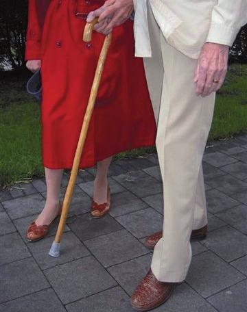 PUBLIKATION 2007:109 Tillgänglighet, säkerhet och trygghet för äldre i den lokala