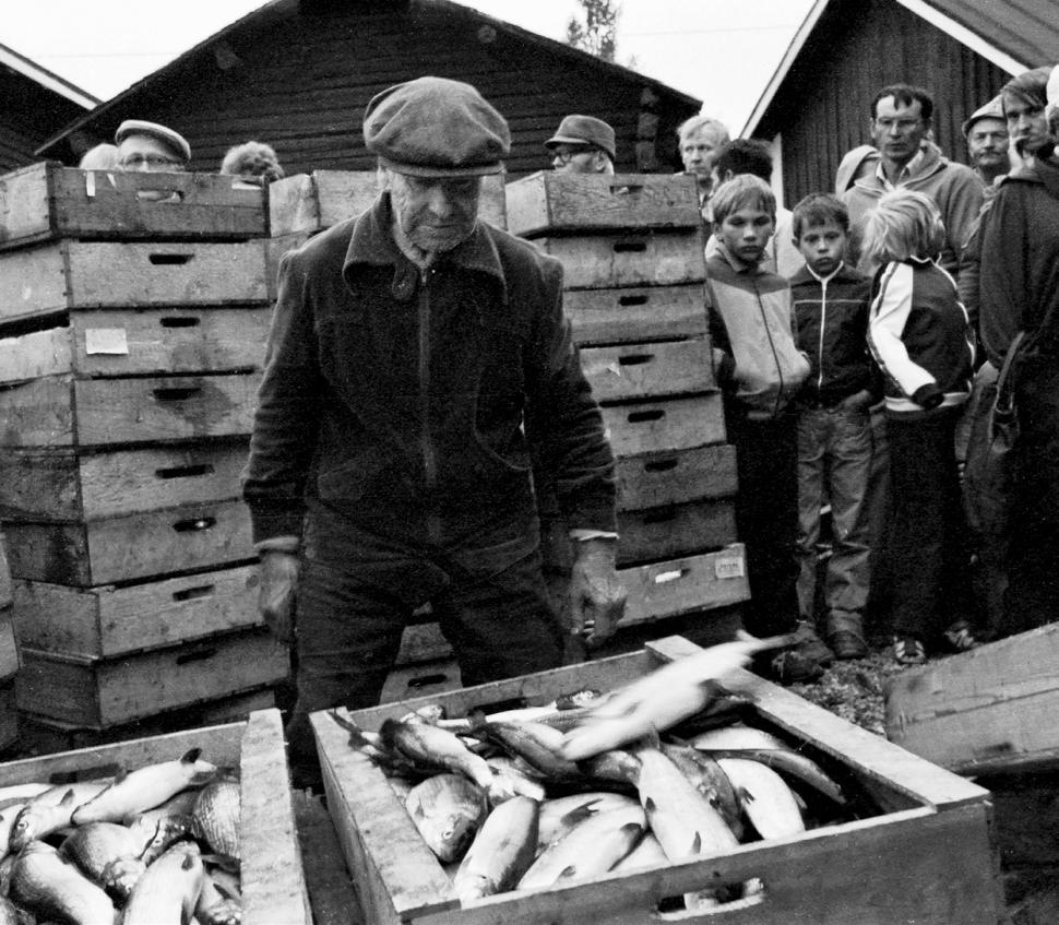 Giellagáldu Projektet är ett samarbetsprojekt mellan de finska, svenska och norska Sametingen och finansierar det samnordiska samiska fack- och resurscentrats verksamhet Sámi Giellagáldu (Samiska