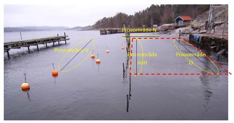 Sedimentprovtagning efter muddring Slänt mot akterförtöjningspålar (lera) Muddringsområde Slänt mot kaj