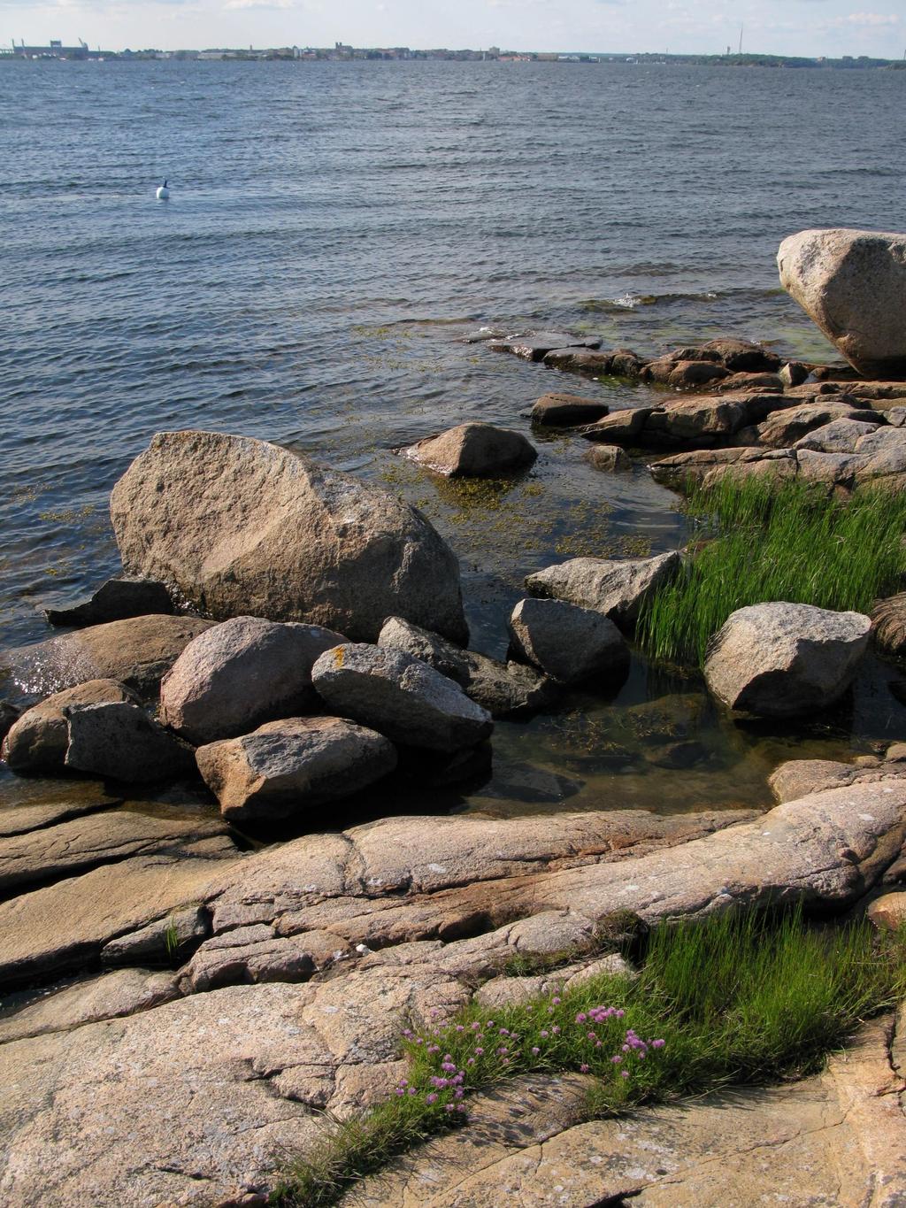 Naturvärdesbedömning för interkommunal
