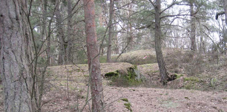 Vackra berg i dagen Geotekniska förhållanden COWI har gjort en geoteknisk undersökning med fältundersökningar inklusive radonmätning och laboratorieanalys. (november 2010).
