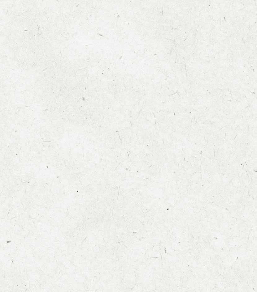 000 1 000 000 700 000 1700000 850 000 16,00 kr 0,50 kr 2017 Omvandling -308 000 308 000 692 000 1 008 000 1700000 850 000 0,50 kr 2017 Nyemission 500 000 692 000 1 508 000 2200000 1 100 000 25,00 kr