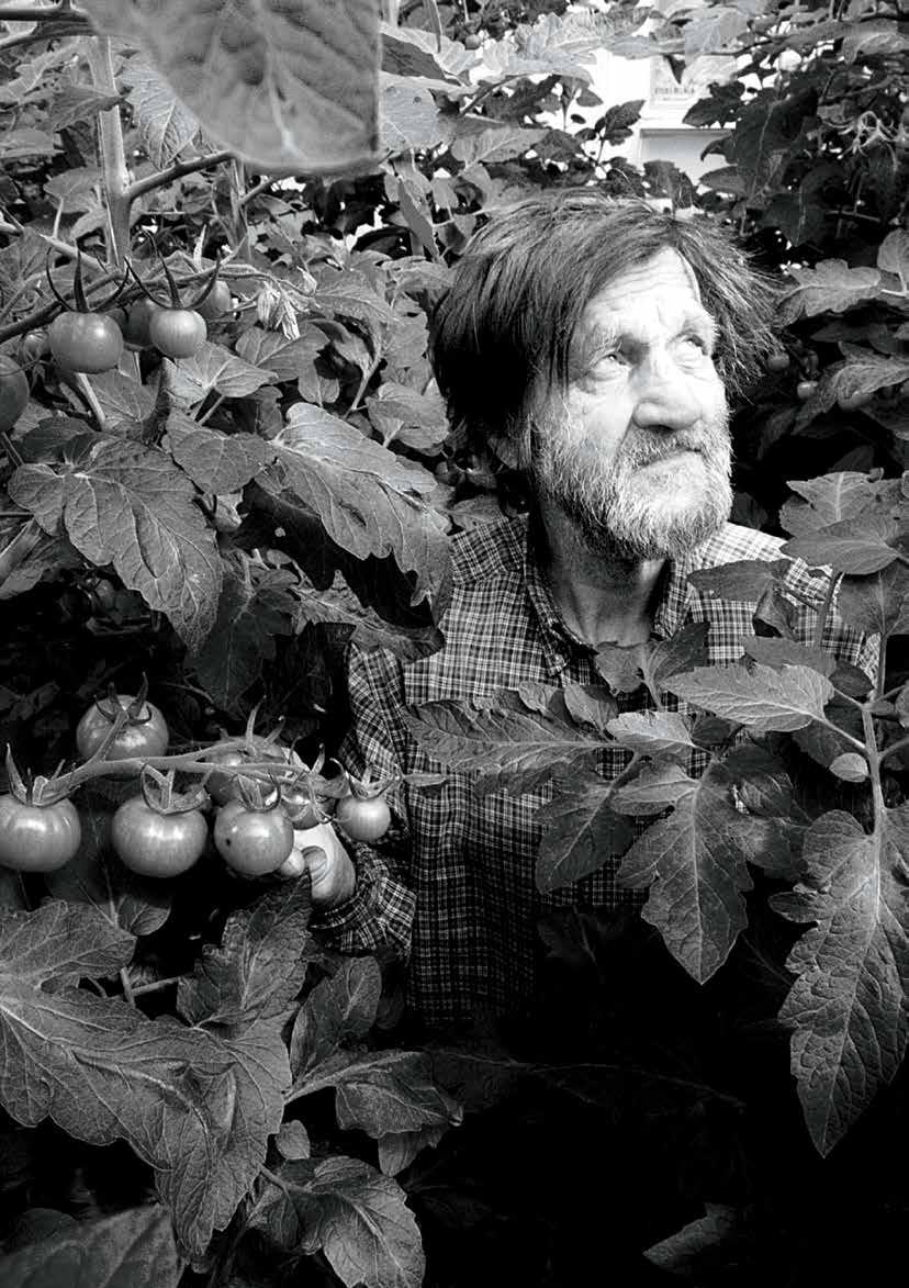 PIONJÄREN Pecka Nygård Peckas Naturodlingar AB (publ) grundar sig på Pecka Nygårds unika kunskap och erfarenhet inom kretsloppsodling. Han har jobbat med kretsloppsodling i 20 års tid.
