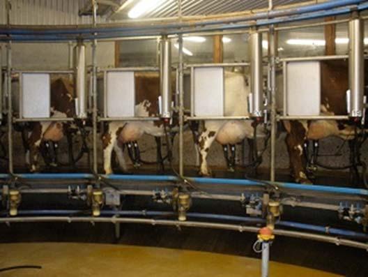 Slutsatser Gräs/klöver ensilage behandlat med tillsatsmedel ökade avkastningen i kg mjölk och i kg ECM samt förbättrade foderoch kväve-effektiviteten hos korna när de utfodrades med en med