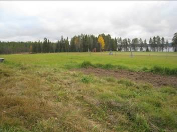 Fristad Kort beskrivning Fristad är ett nybygge från 1800-talets förra hälft. Här finns en gård belägen på udde i Arvidsjaursjön.