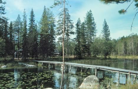 Hedvallen Kort beskrivning Hedvallen var ett sommarviste inom Östra Kikkejaures skogssameby. Idag finns fyra timrade kåtor, två härbren och två brädhagar kvar på vistet.