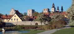 Tack vare vår VISIR-förening på Gotland hade VISIR i år möjlighet att delta i flera seminarier som hade med tobak och tobaksskador att göra.