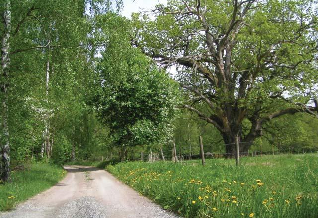 De värdefulla natur- och kulturmiljöerna, till vilka hänsyn ska tas vid planering och byggande, går att läsa om i bilagan Allmänna intressen samt i karttjänsten på www.vasteras.se/op.