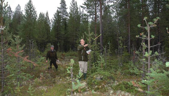 på insidan finns alltid en hård kärna. De instrument Skogsstyrelsen förfogar över är dels lite mjukare skrivelser såsom vägledning eller information om skogsvårdslagens krav, dels beslut.