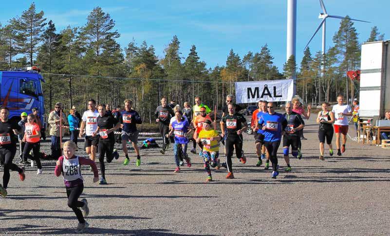 PROJEKTPORTFÖLJ 4. BYGGE Byggprocessen inleds med att entreprenören kontrakteras för byggnation av vägar och infrastruktur inklusive interna elledningsdragningar inom vindparken dvs.