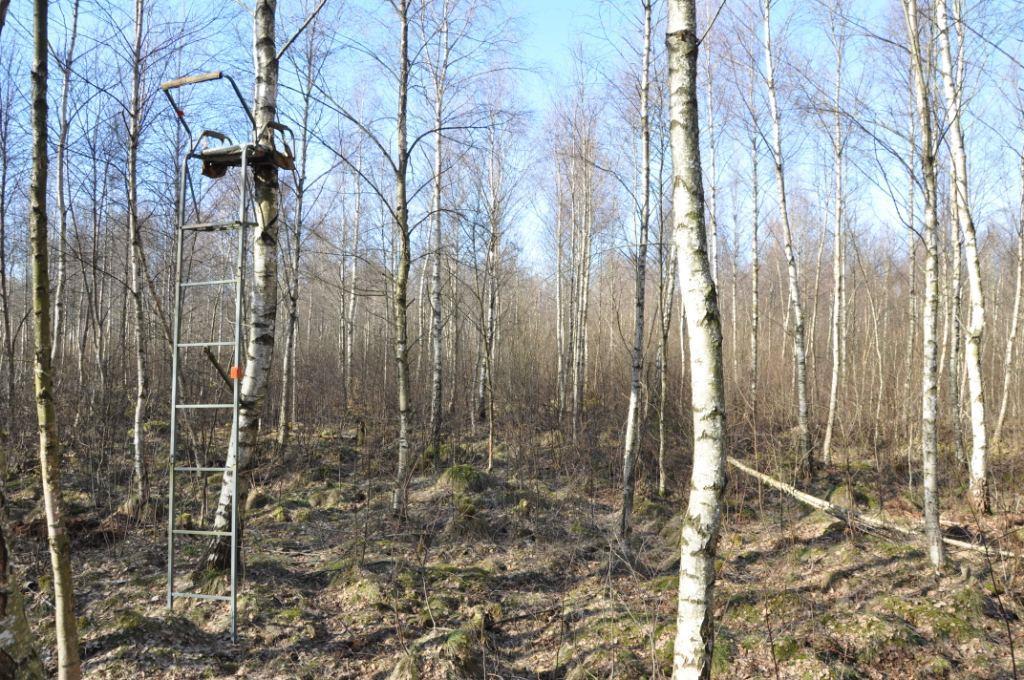 Hörby Tågarp 3:33 Villkor Förutsättningarna för denna försäljning framgår av denna beskrivning samt eventuell tilläggsinformation.