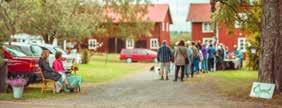 Dan Andersson Han vågar ta ställning mot orättvisor och förtryck Han försvarar de svaga och utsatta Sällan eller aldrig tidigare har Dan Anderssons politiska engagemang varit lika betydelsefullt och