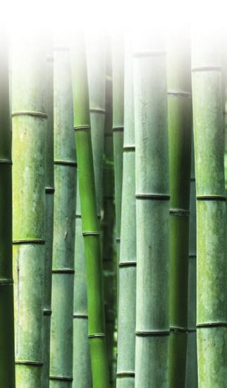 Tillverkad med bambufiber som har naturliga, antibakteriella egenskaper. Moppen håller sig fräsch och luktfri länge. Krans i mikrofiber plockar effektivt upp lös smuts.