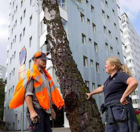 Våra dotterbolag Förvaltnings AB Framtiden har under året haft sju rörelsedrivande dotterbolag samt ett dotterdotterbolag. Bostadsfastigheterna ägs och förvaltas av de fyra bostadsföretagen.