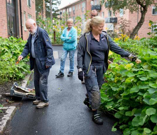 Våra fastigheter Framtidenkoncernen tar en aktiv roll för att möta den stora efterfrågan på bostäder, genom att både bygga nytt och förädla befintliga fastigheter.