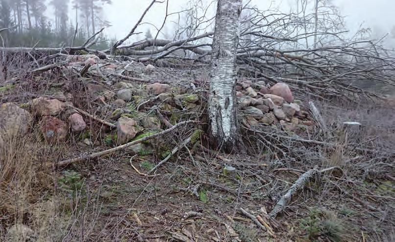 Berg- och grustäkt i Västra Ekås Arkeologisk utredning, etapp 1 inför planerad berg- och grustäkt i Västra Ekås 1:14