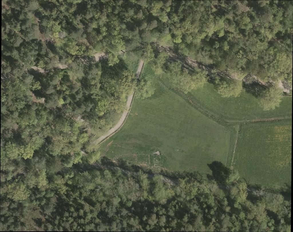 Från parkeringsplatsen leder en stig genom skogen ner mot området, bilvägen mot parkeringen har en relativt