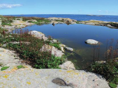 Diarienummer 19 ECOS 2011-52 NATURVÅRDSPLAN Skärgården i Oxelösunds kommun Andra planer och inventeringar Andra planer, inventeringar och utredningar som berör skärgården och som ligger till grund