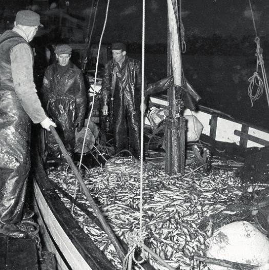 Se fler historiska bilder och texter