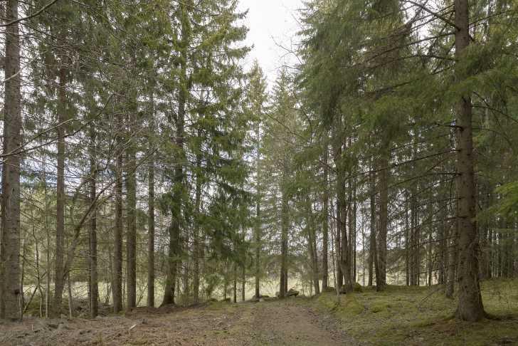 RÄTTIGHETER OCH BELASTNINGAR Samfällighet. Lindesberg Björkhyttan Fs:8 (Fiske), Lindesberg Björkhyttan S:5 (väg), Lindesberg Björkhyttan S:16 (väg), Gemensamhetsanläggning.