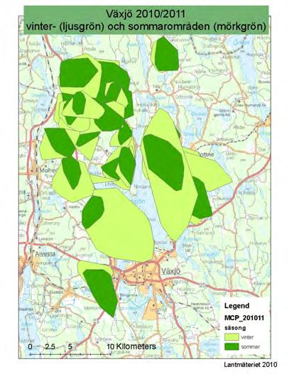 Figur 3. Sommar- och vinterhemområden för GPS-märkta älgar i Växjöområdet i 2009/2010 (höger) och 2010/2011 (vänster).