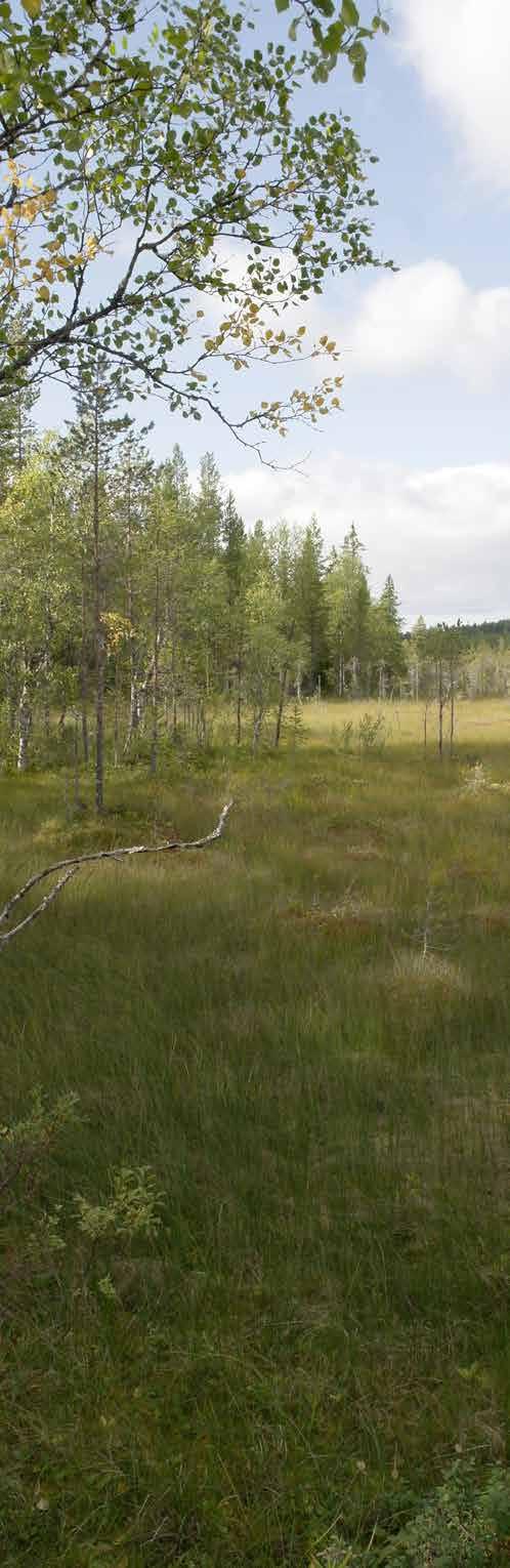 RÄTTSFÖRHÅLLANDEN FASTIGHET Älvros Kyrkby 10:2, Svegsbygdens församling, Härjedalens kommun.