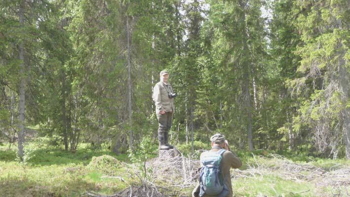 I stället för kalhygge Harald