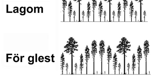 får inte förekomma Mängden stamved/m2 skall vara liten, trädstammar är en tärande del av systemet