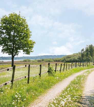 cykelavstånd.