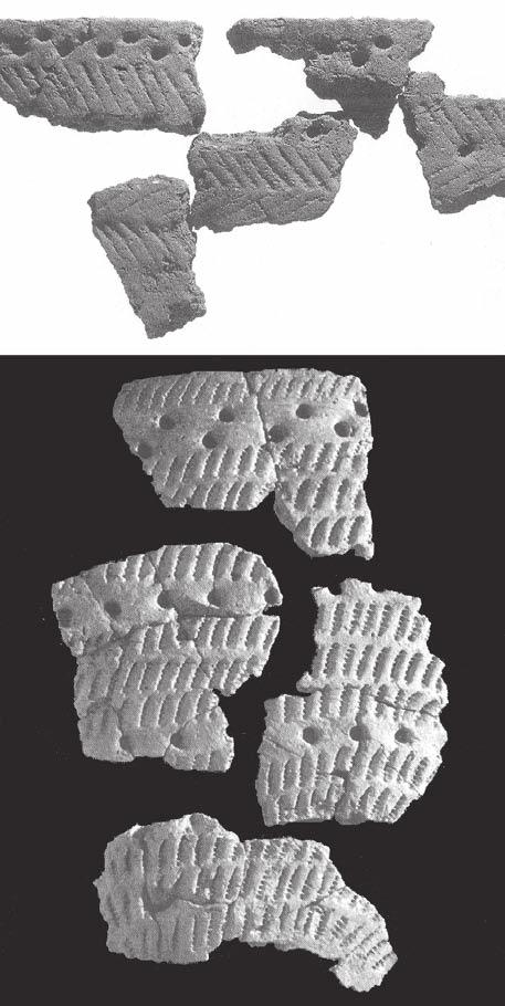 Exempel på keramik från Lillbergetundersökningarna, RAÄ nr 451 Överkalix sn. Foto: Staffan Nygren, Norrbottens museum. 4. Tidig- och mellanneolitikum 4200-2500 fvt.