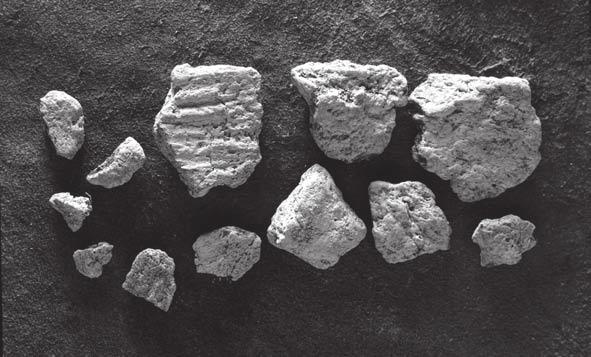Fig. 2.13. Organiskt magrad keramik från Näverberget, RAÄ nr 601 Nederluleå sn. Foto: Staffan Nygren, Norrbottens museum. Fig. 2.14.