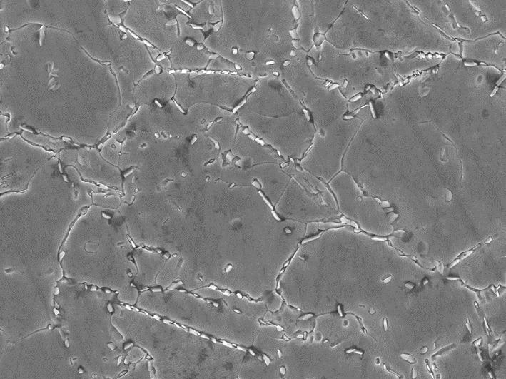 Empiri 4.2.3 SEM (Scanning Electron Microscope) Bild 16 togs med SEM på prov 62 vid den inre radien bild 15 (c). Tydliga δ-faser syns längs korngränserna och i matrix.