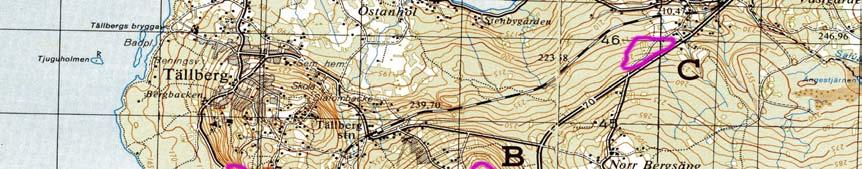 Delområde A - Digerberget, Tällberg Sydväst-vänd