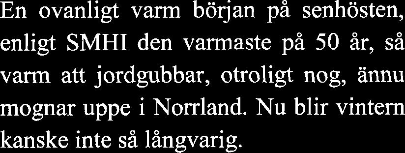 I år, till publikens glädje, bjöds det till exempel på knattrande komp på matskedar till