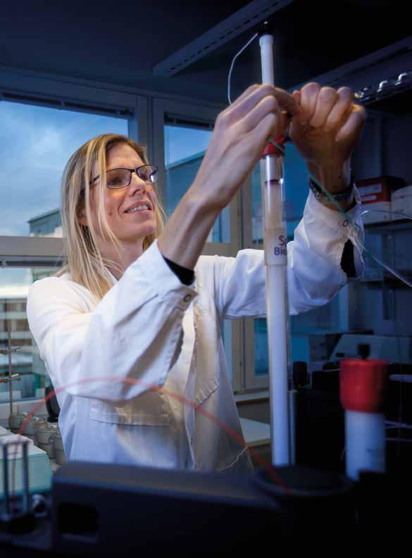 INNEHÅLL 4 året i korthet viktigt avtal och nya projekt 6 vd har ordet ett framgångsrikt år 8 det här är bolaget innovativ läkemedelsutveckling inom cancer och diabetes 10 medarbetare ett naturligt