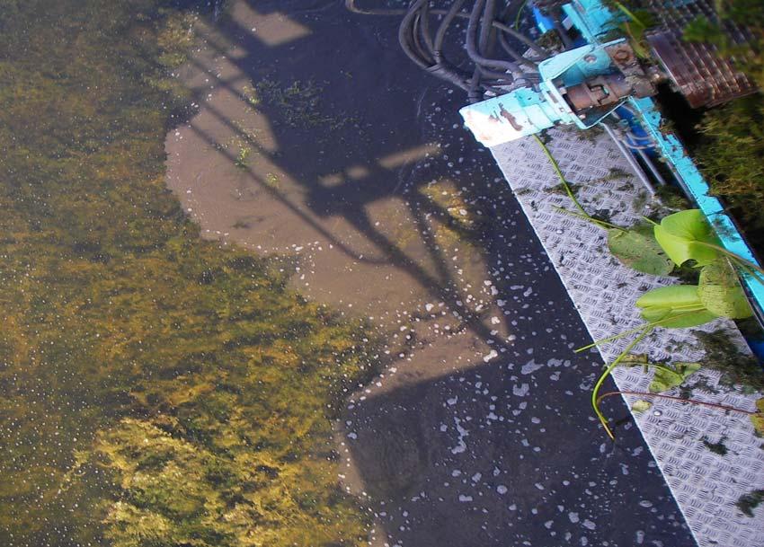 Inledning Under samrådsmöten i samband med Miljömiljardprojektet Försöksmuddring i Fagersjöviken har det diskuterats vilka miljökonsekvenser grumling av vattnet medför.