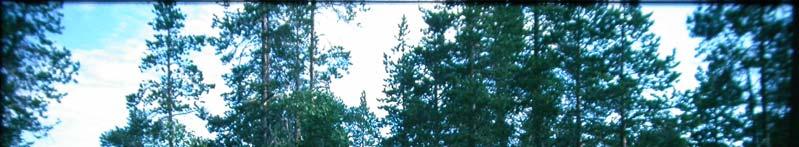 Värdeomdöme Mindre naturskogsområde där fynd av två mycket sällsynta vedsvampar ger skogen förutsättning för bevarande som nyckelbiotop.
