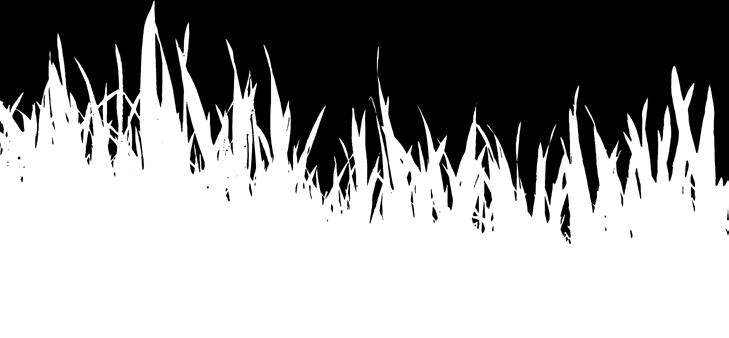asöka.