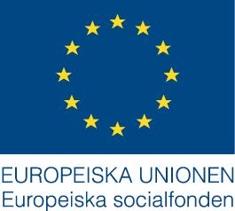 Bilaga 9 2010 Europeiska året för bekämpning av fattigdom och social utestängning Kompetensutveckling för sysselsatta (processförare) inom frivillig-/idéburna organisationer ABF Studieförbund