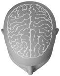 att framhäva distinkt tal. Hörapparat Stöd för BrainHearing Öppen tillgång till alla talare Snabb brusreduktion Lokalisering av ljud Talets klarhet Personlig anpassning 3.