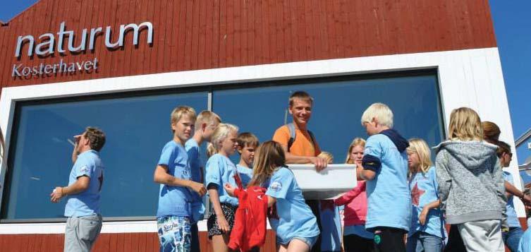 gogik och värdskap, kommunikation och språk samt lokalkännedom.